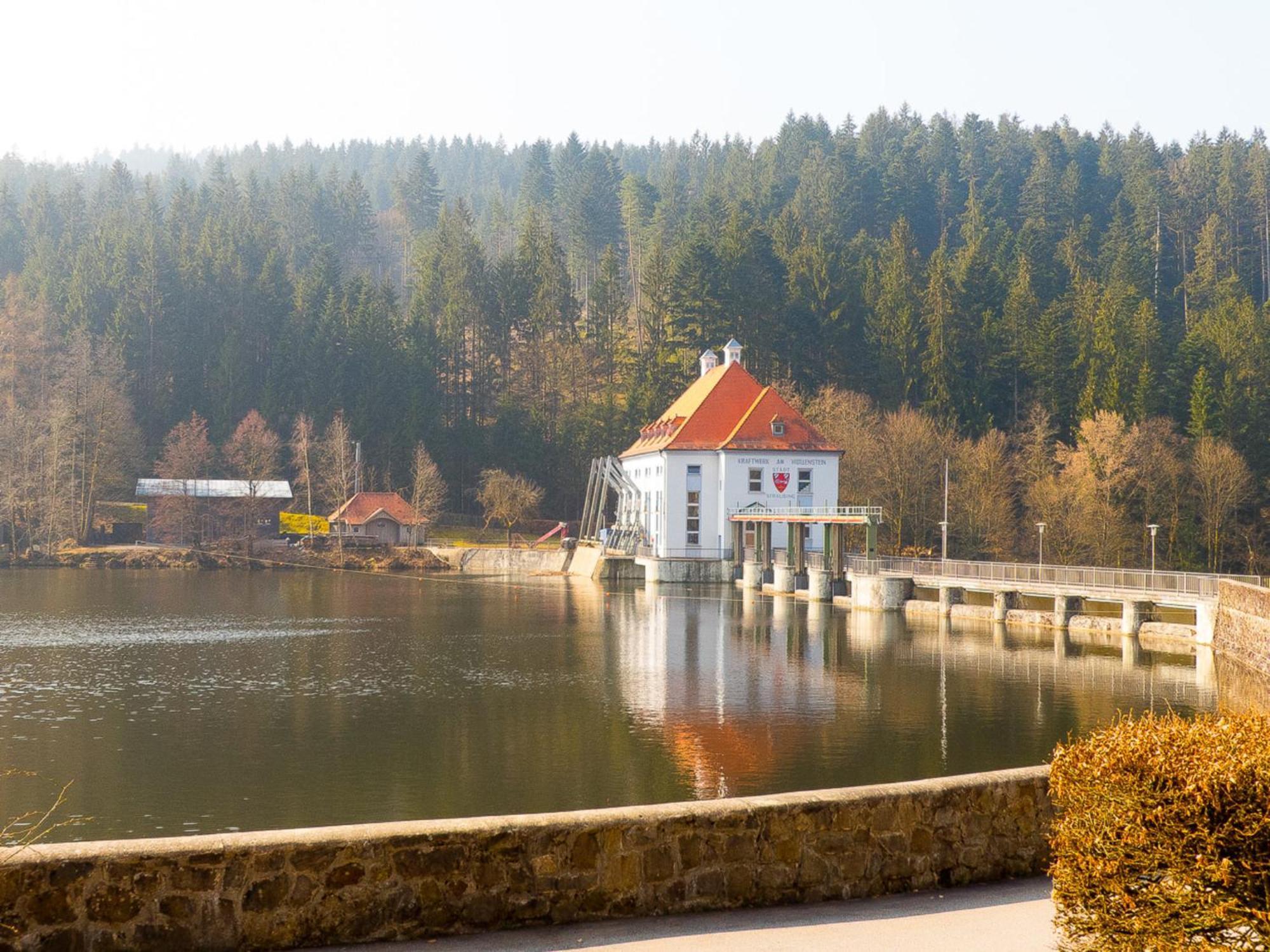 Ferienhaus Nr 7, Typ B, Feriendorf Jägerpark, Bayerischer Wald Viechtach Exterior foto